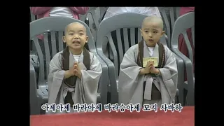 [BTN] 불기2551(2009)년 부처님오신날 봉축법요식