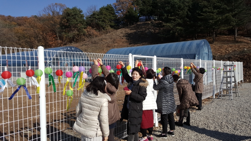 [상월선원 천막결사] 소원지 달기