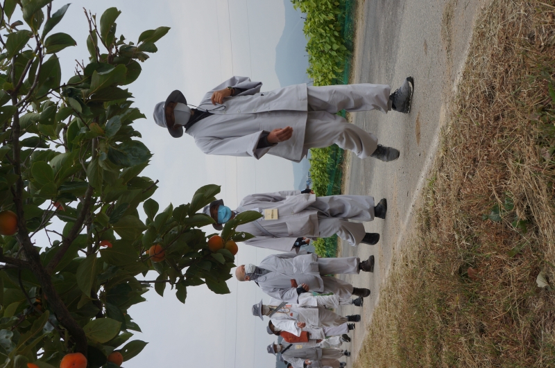 DSC02054
