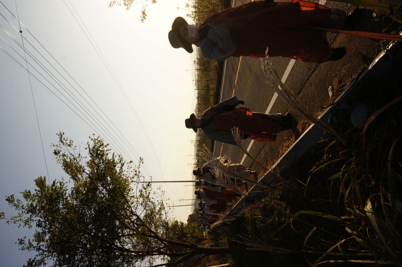 DSC02243