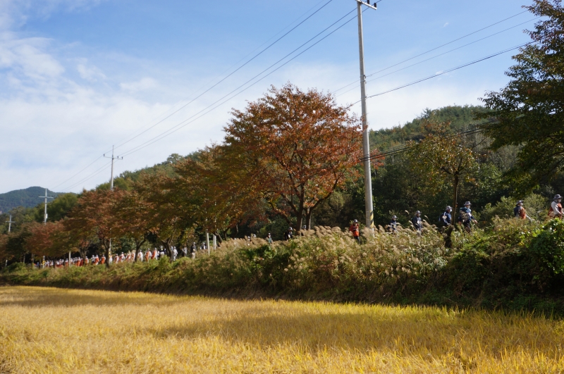 DSC02416