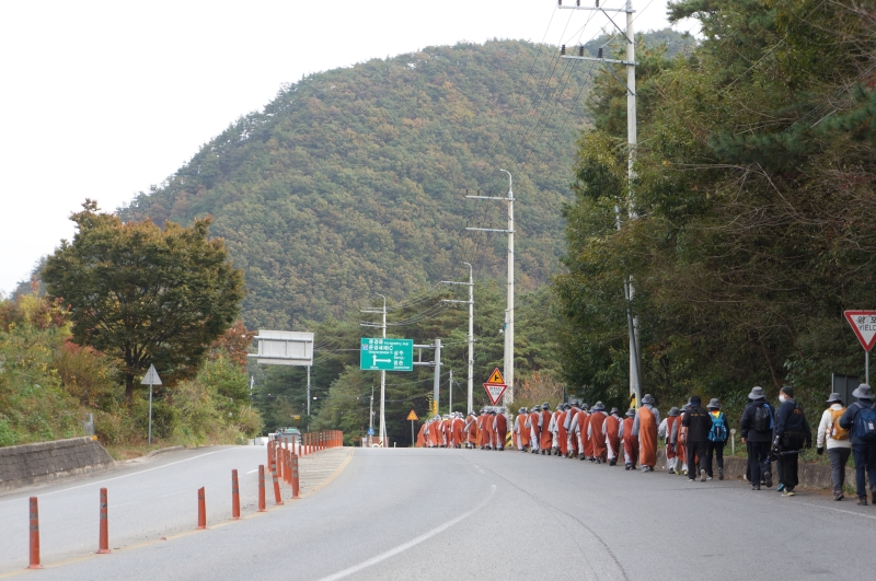 DSC03137