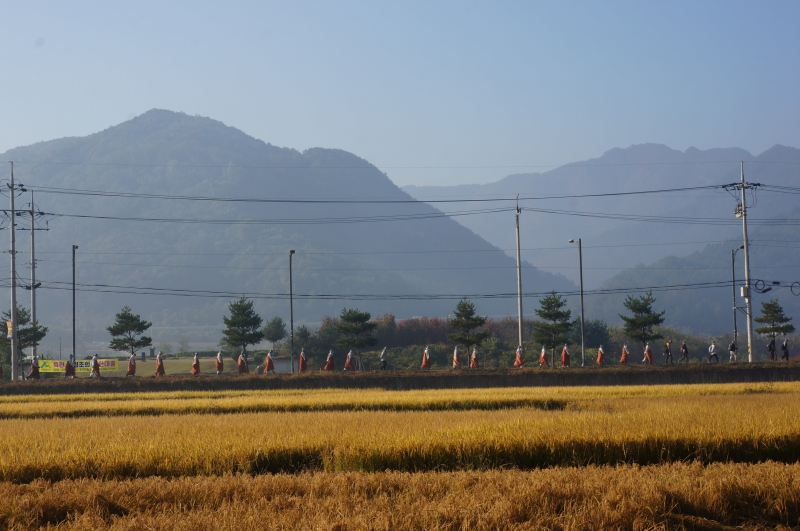 DSC04427