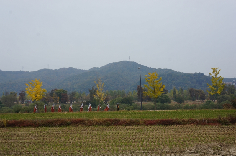 DSC04764