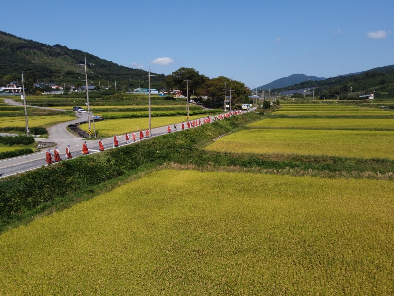 DJI_0118
