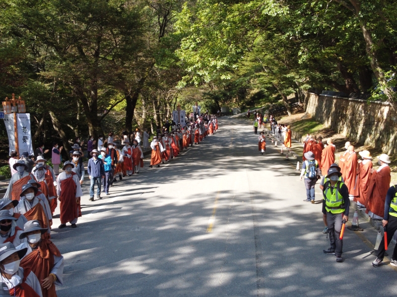 DJI_0262
