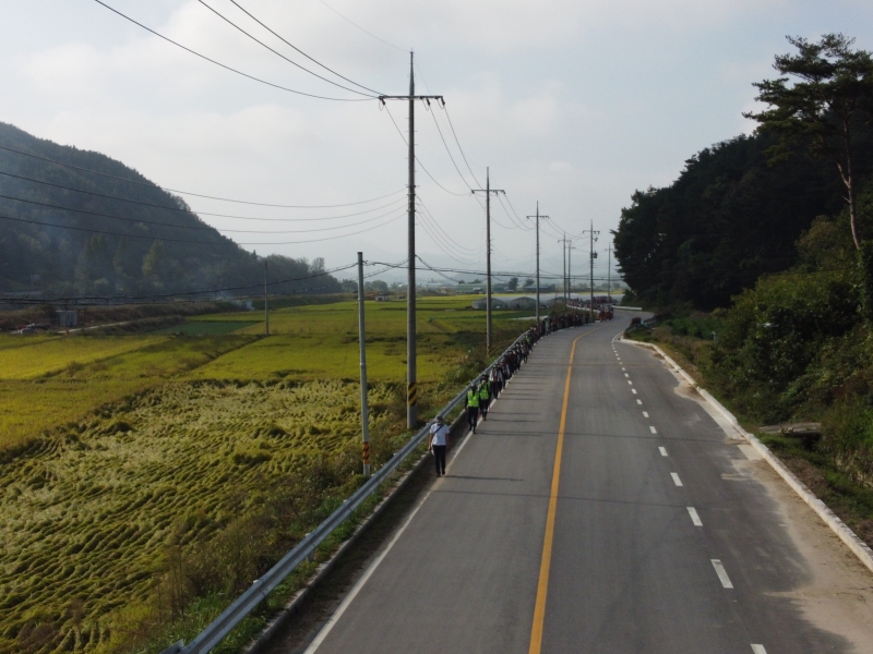 DJI_0498