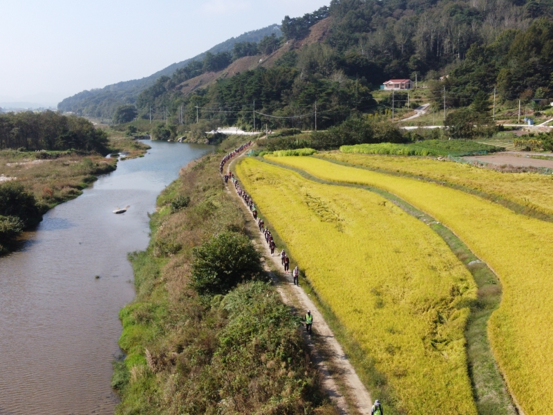 DJI_0516