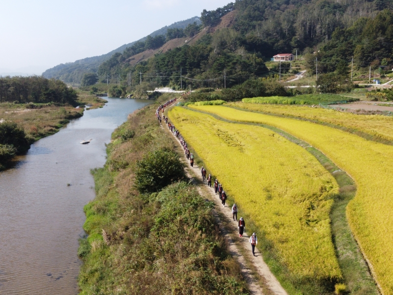 DJI_0524