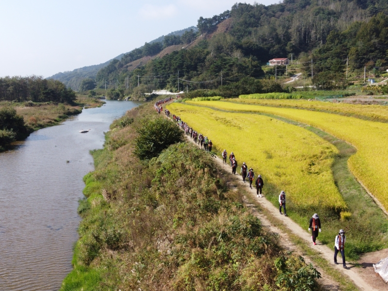 DJI_0528