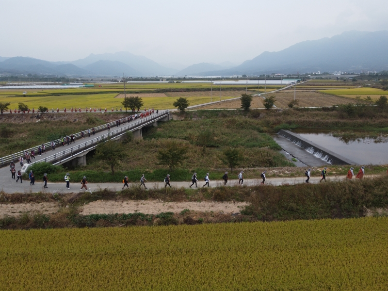 DJI_0542