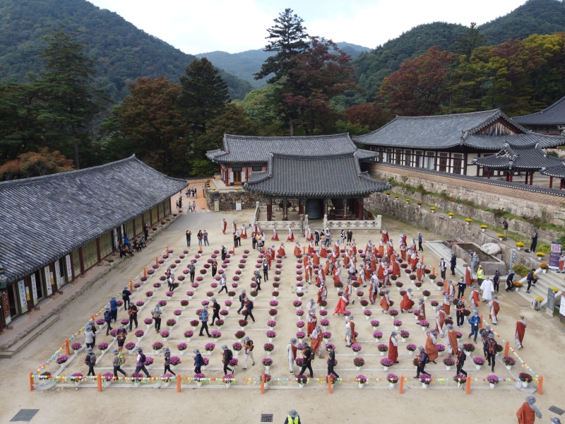 DJI_0583