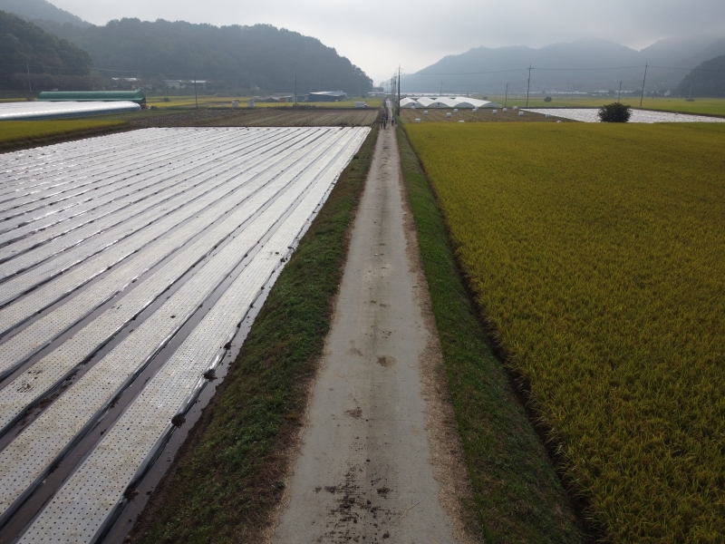 DJI_0596