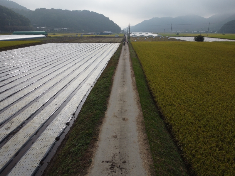 DJI_0600