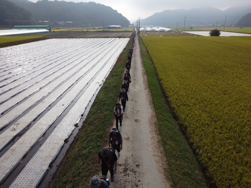 DJI_0669