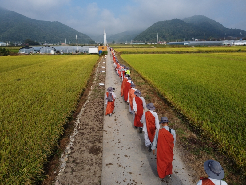 DJI_0695