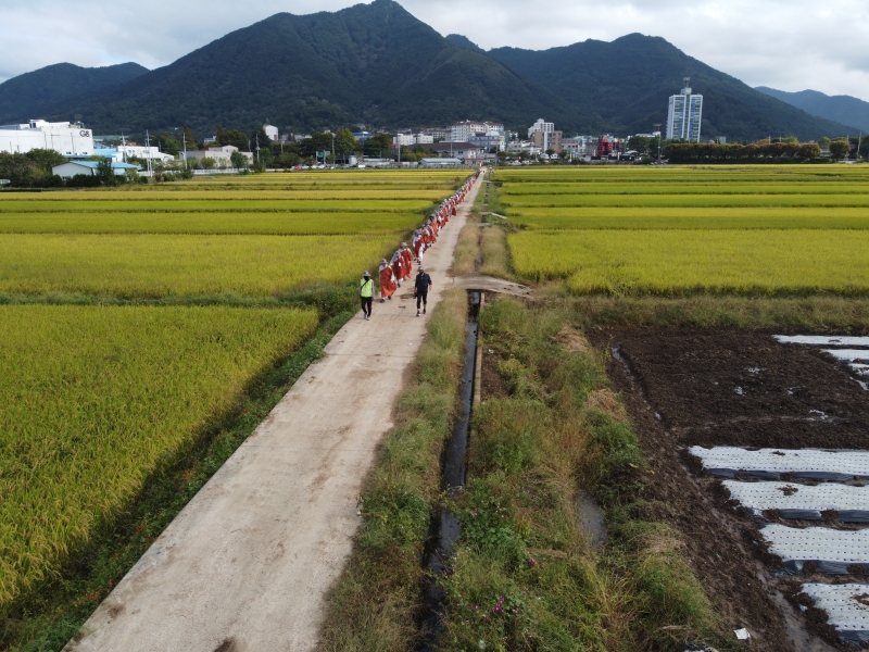 DJI_0708