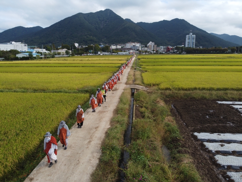 DJI_0717