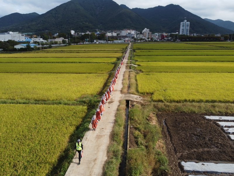 DJI_0729