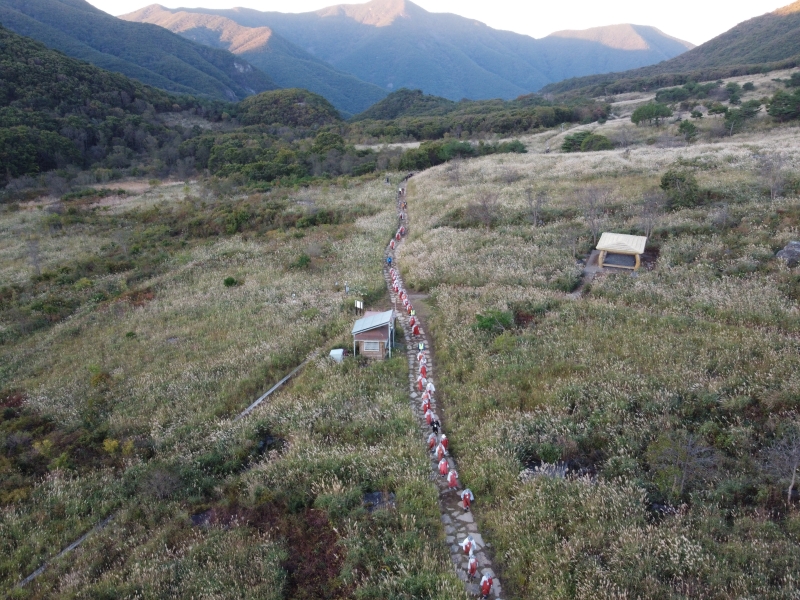 DJI_0822