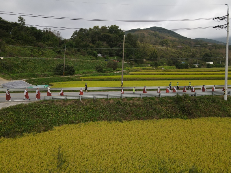 DJI_0839