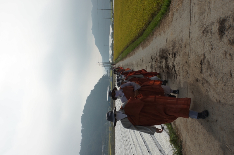 DSC00249