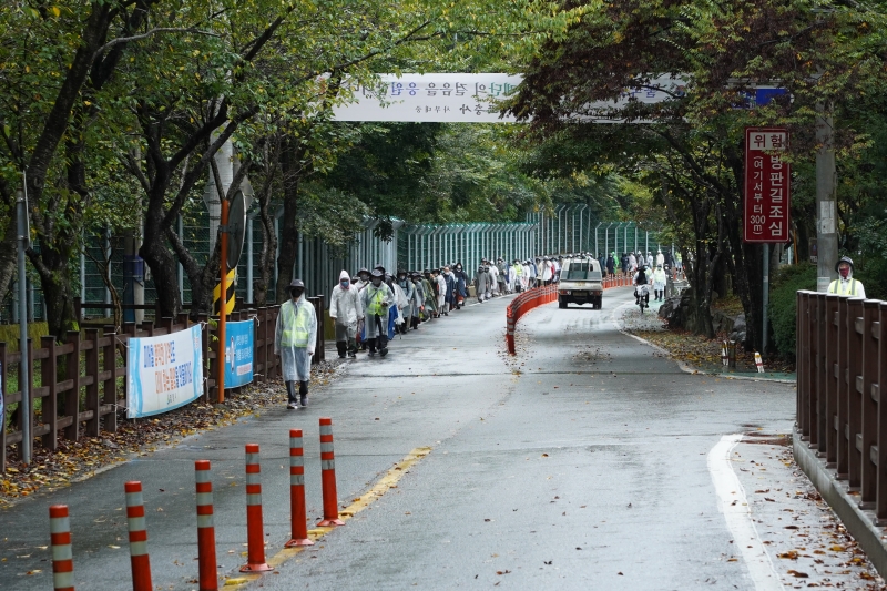 DSC08217