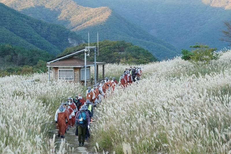 DSC09019