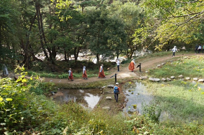 DSC09852