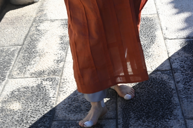 DSC_9697