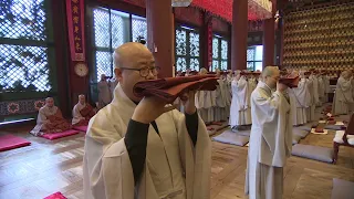 [BTN뉴스] 2,3급 법계 품서식 리포팅