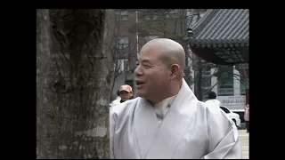 [BTN뉴스] 자승스님 조계사에 보리수 나무 식수