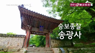 [BBS 특집] 절로 가는길 송광사편