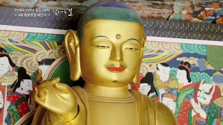 [BBS 특집] 절로가는길 해인사편